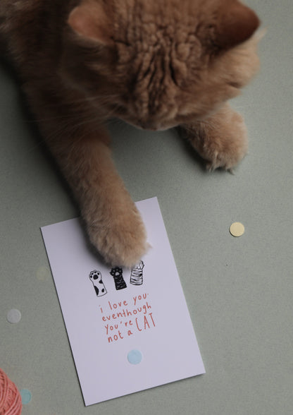 Greeting Card - Love you | Cat Version