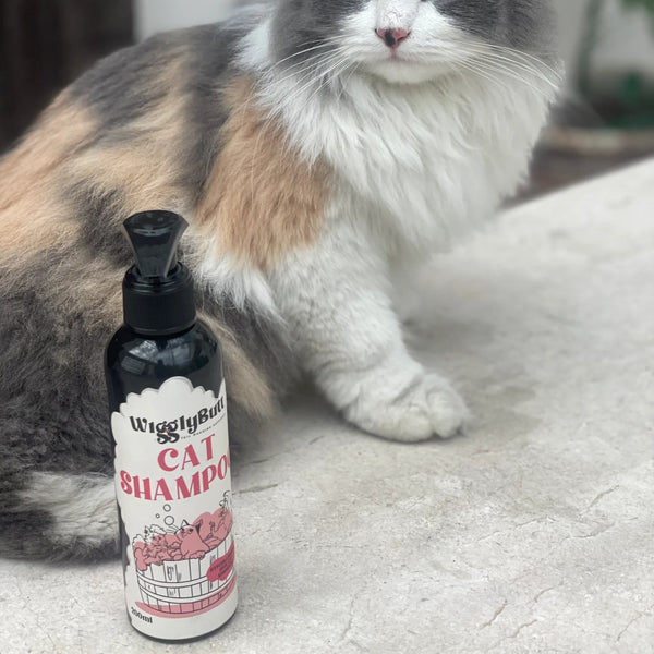 cat shampoo