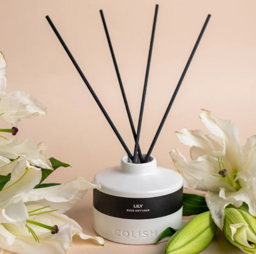 lily reed diffuser