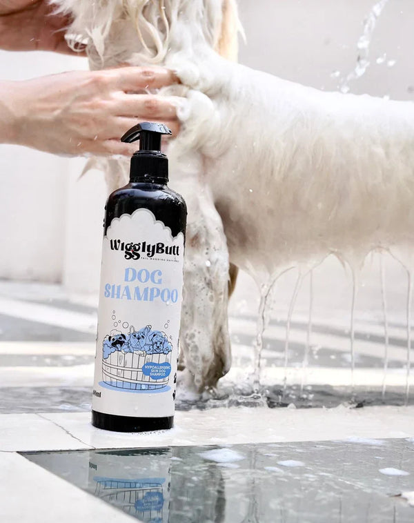 Dog Shampoo