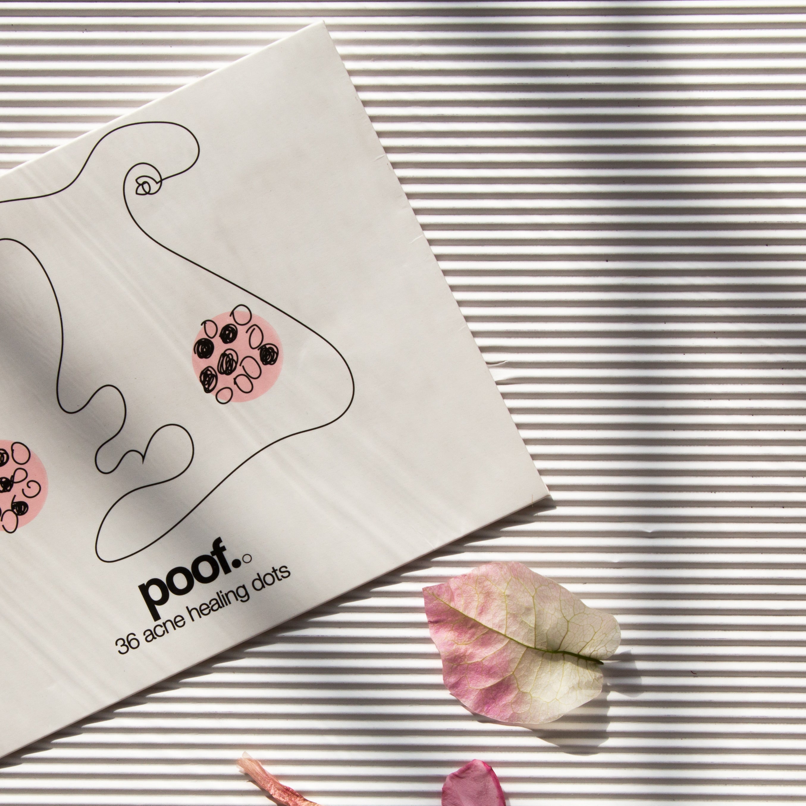 acne healing dots – Folia Creatives