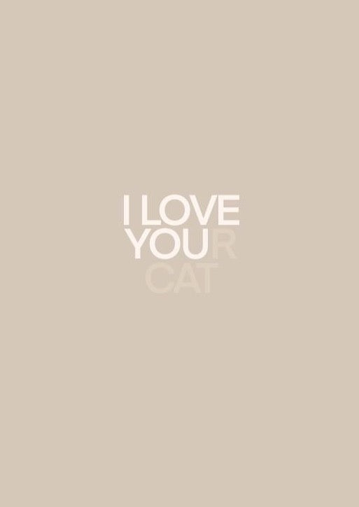 Greeting Card - I Love Your Cat